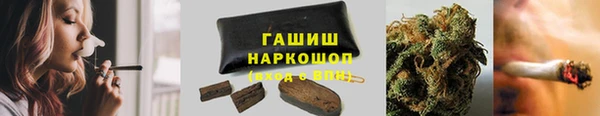 индика Богданович